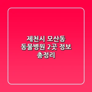 제천시 모산동 동물병원 2곳 정보 총정리
