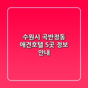 수원시 곡반정동 애견호텔 5곳 정보 안내