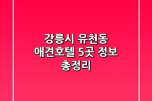 강릉시 유천동 애견호텔 5곳 정보 총정리
