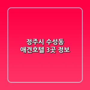 정주시 수성동 애견호텔 3곳 정보