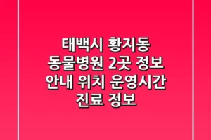 태백시 황지동 동물병원 2곳 정보 안내 – 위치, 운영시간, 진료 정보