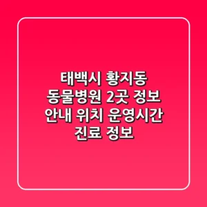 태백시 황지동 동물병원 2곳 정보 안내 - 위치, 운영시간, 진료 정보