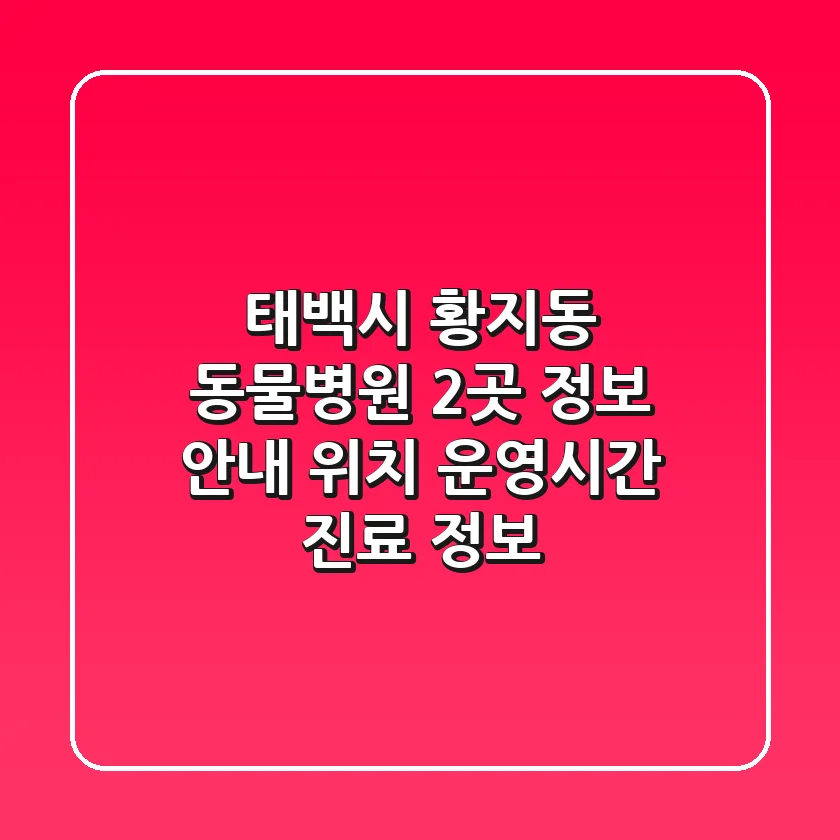 태백시 황지동 동물병원 2곳 정보 안내 - 위치, 운영시간, 진료 정보