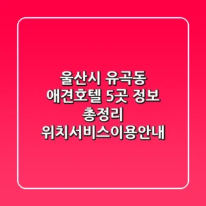 울산시 유곡동 애견호텔 5곳 정보 총정리 - 위치/서비스/이용안내