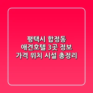 평택시 합정동 애견호텔 3곳 정보: 가격, 위치, 시설 총정리