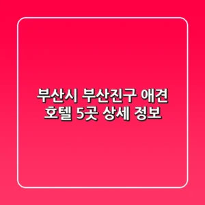 부산시 부산진구 애견 호텔 5곳 상세 정보