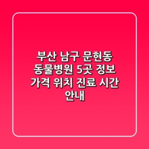 부산 남구 문현동 동물병원 5곳 정보 - 가격, 위치, 진료 시간 안내