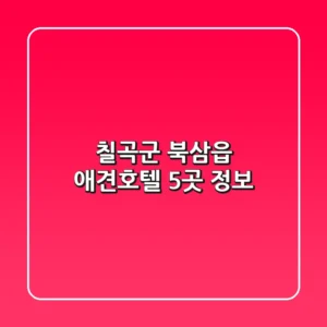 칠곡군 북삼읍 애견호텔 5곳 정보