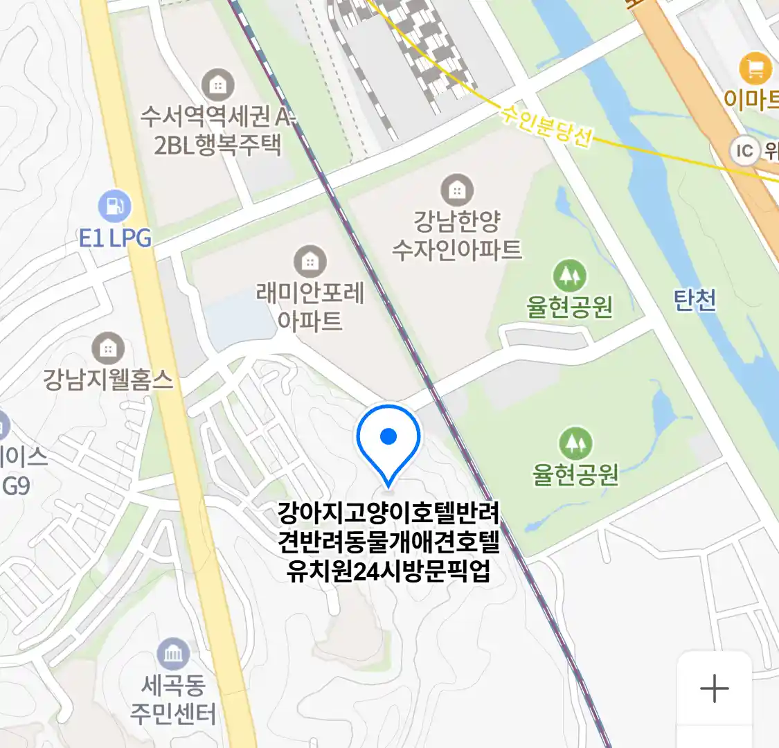 강아지고양이호텔반려견반려동물개애견호텔유치원24시방문픽업 위치