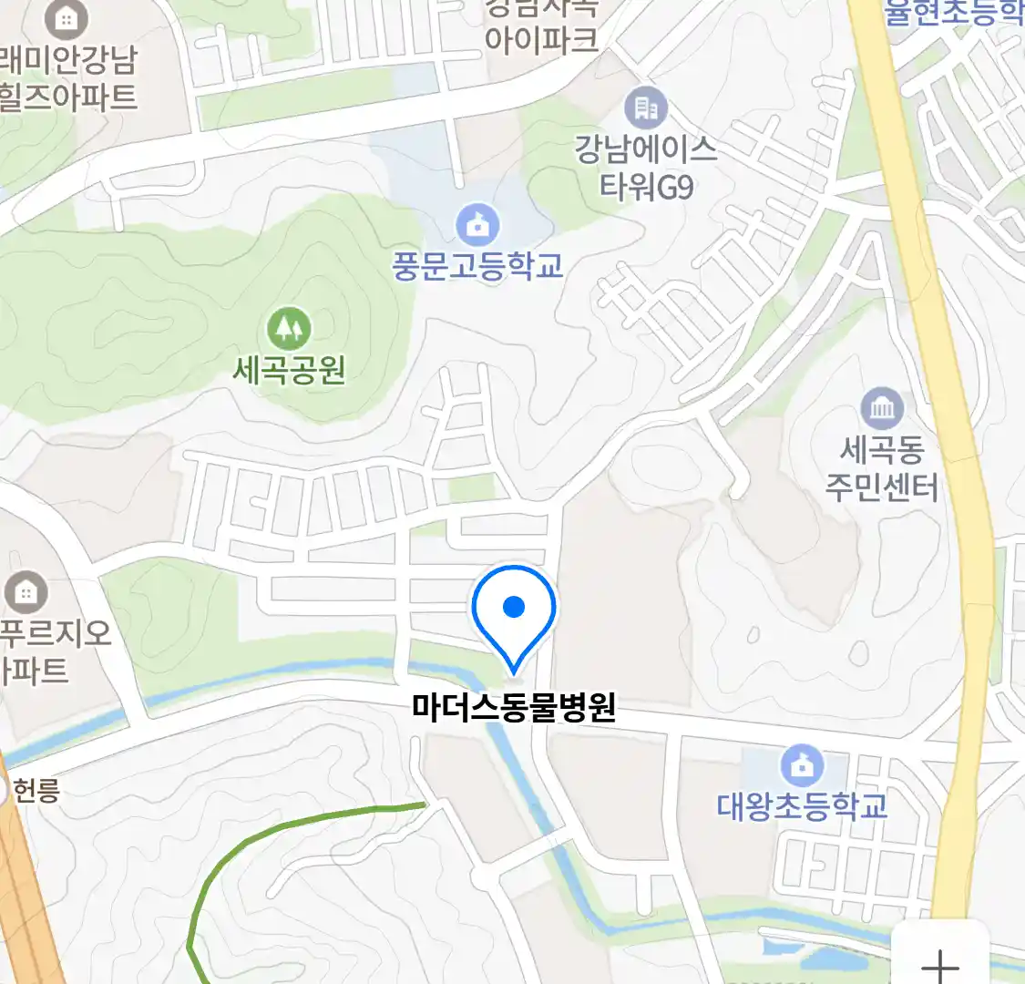 마더스동물병원 위치