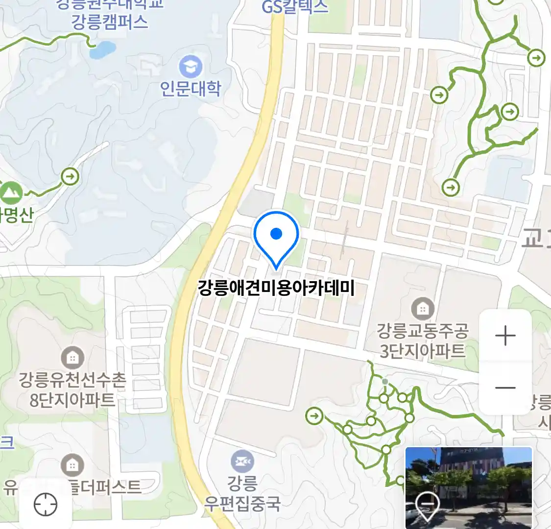 강릉애견미용아카데미