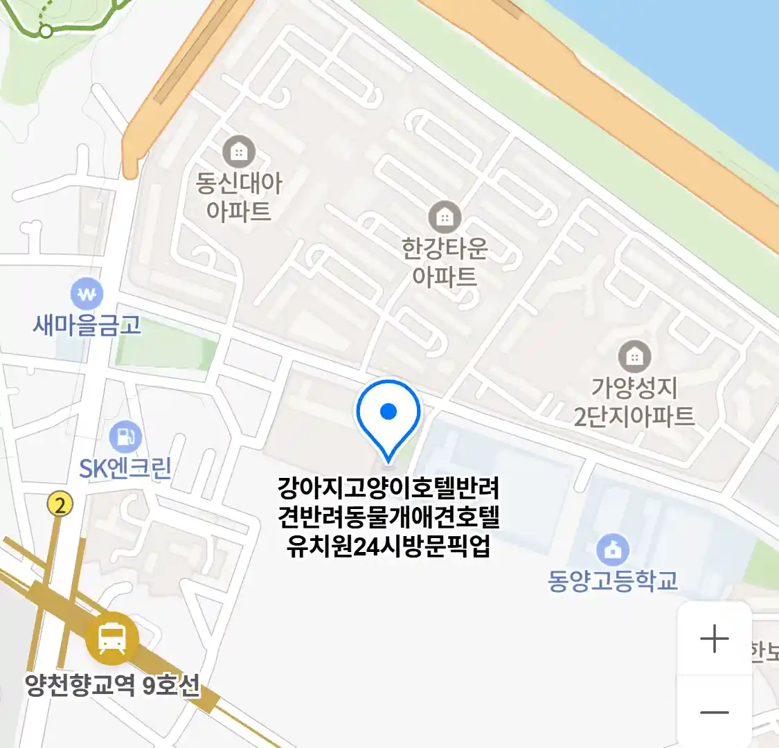 강아지고양이호텔반려견반려동물개애견호텔유치원24시방문픽업 위치