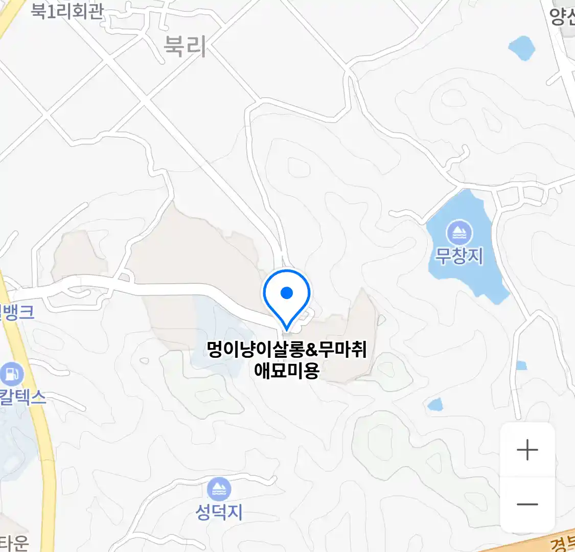 멍이냥이살롱&무마취 애묘미용 위치