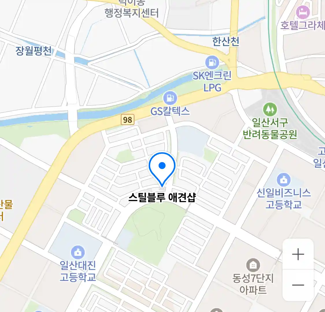스틸블루 애견샵 위치
