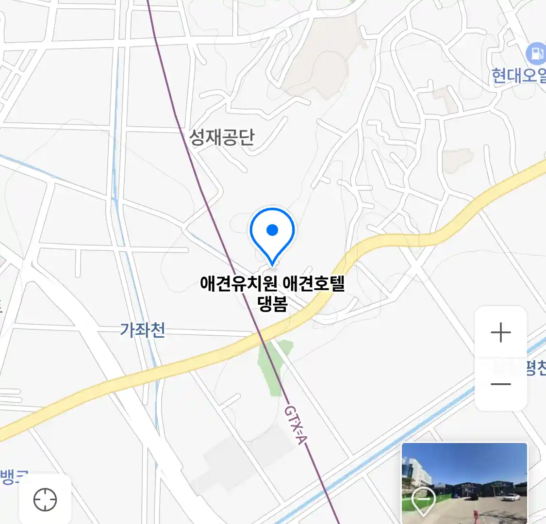 애견유치원 애견호텔 댕봄 위치
