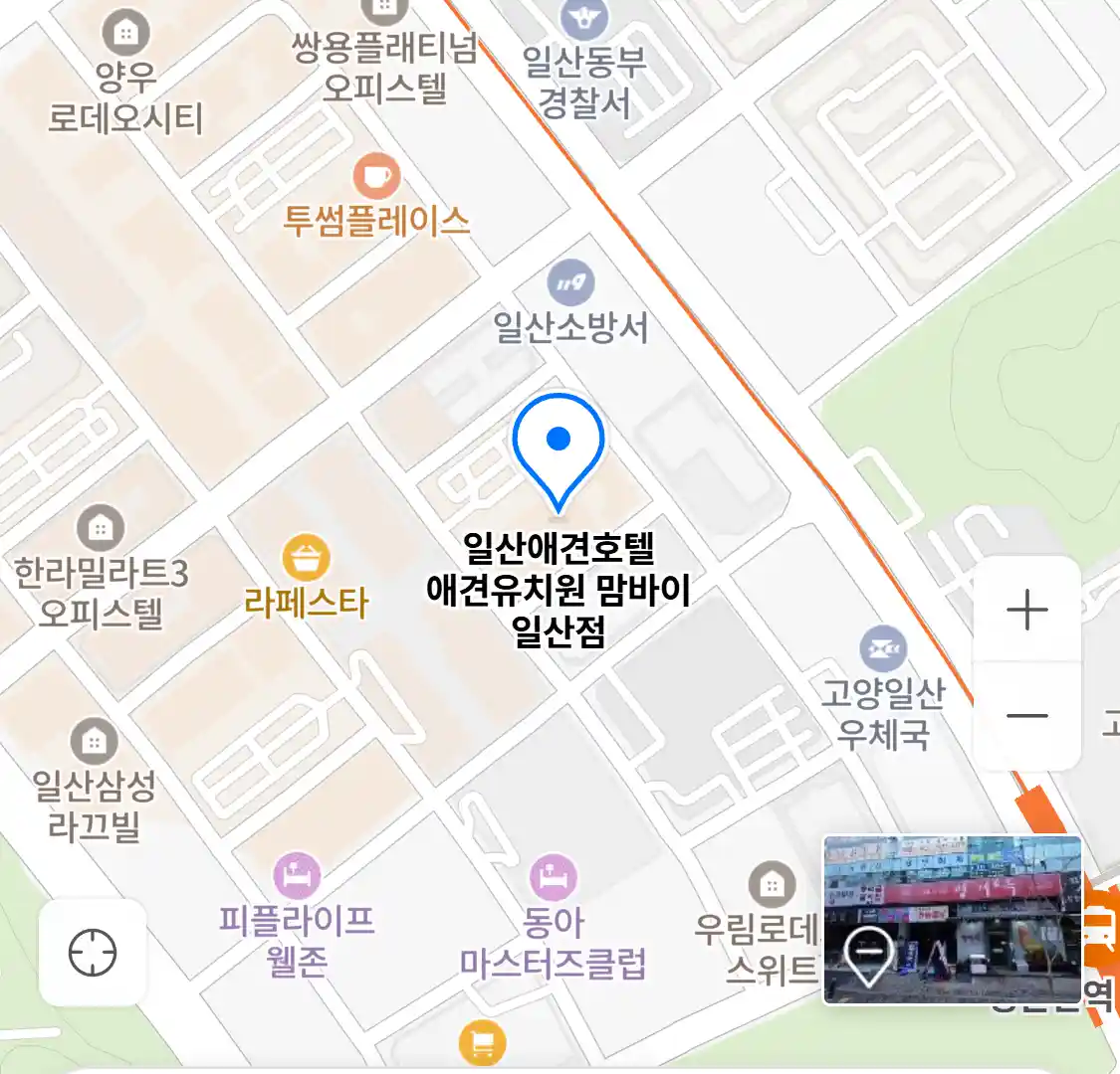 일산애견호텔 애견유치원 맘바이 일산점 위치