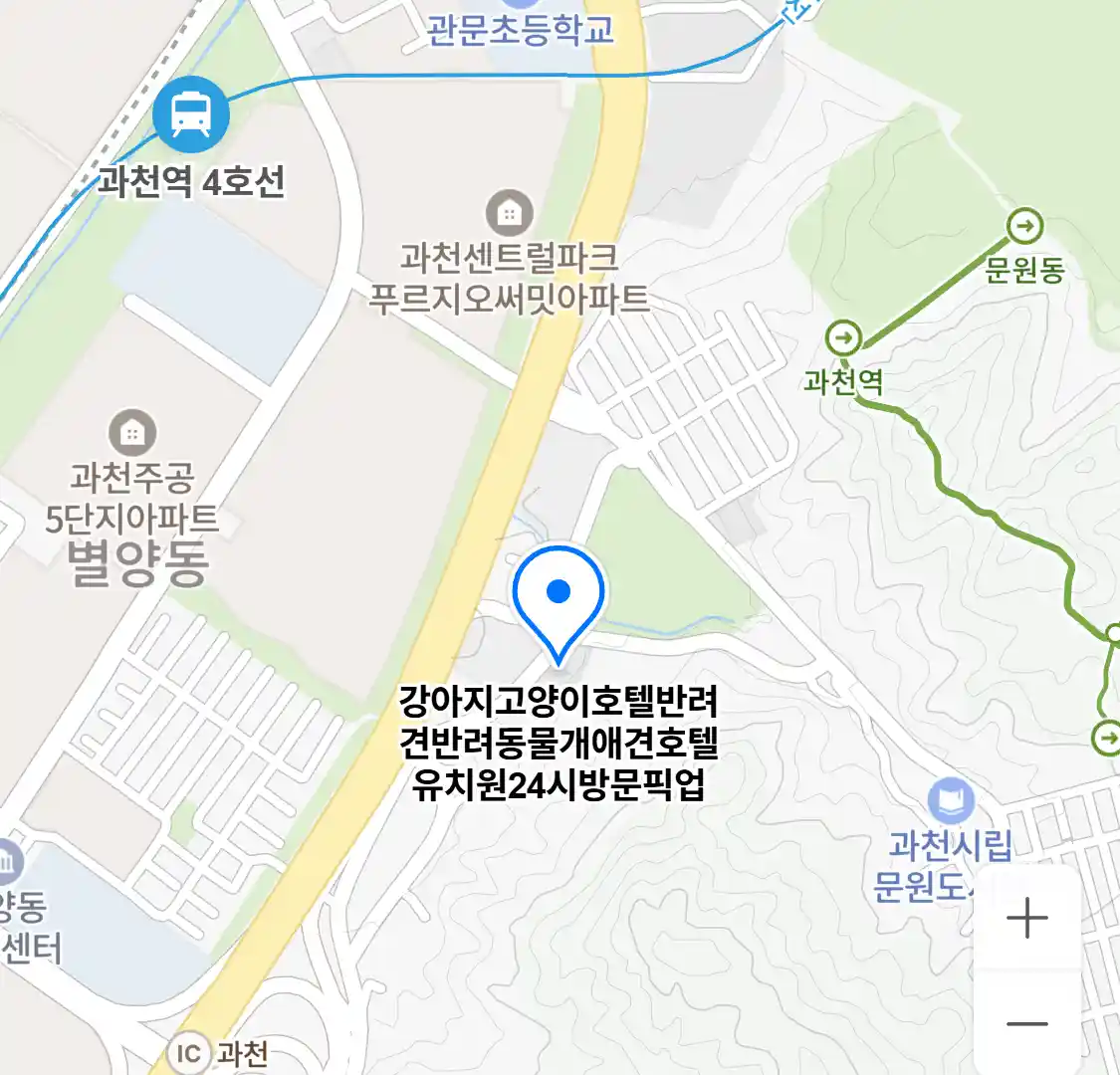 강아지고양이호텔반려견반려동물개애견호텔유치원24시방문픽업 위치