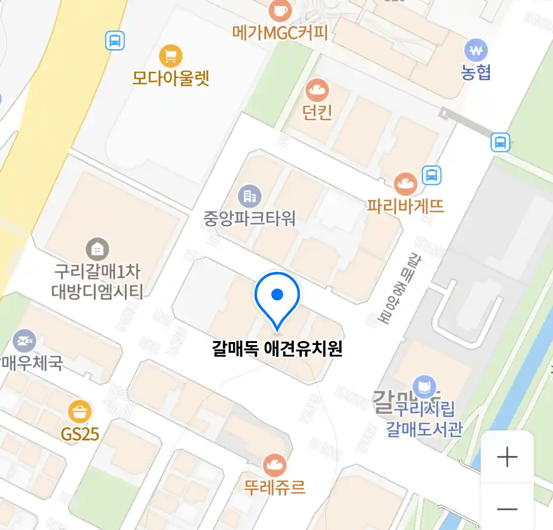 갈매독 애견유치원 위치