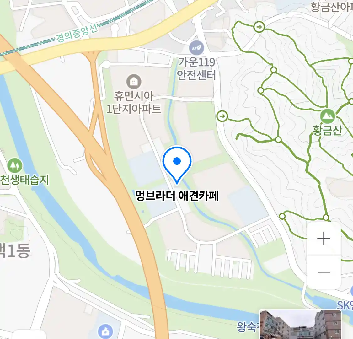 멍브라더 애견카페 위치