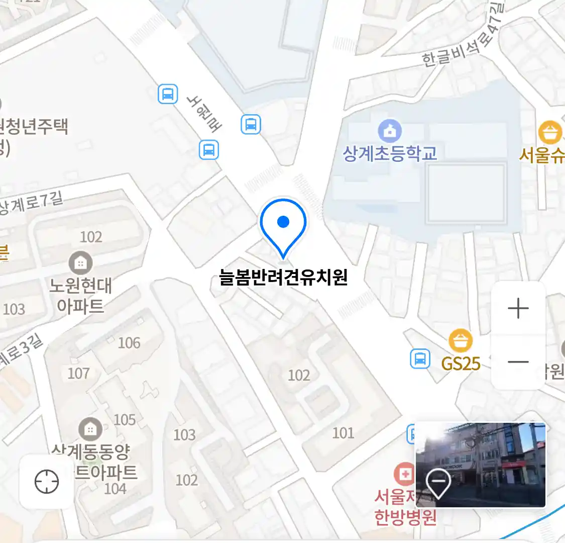 늘봄반려견유치원 위치