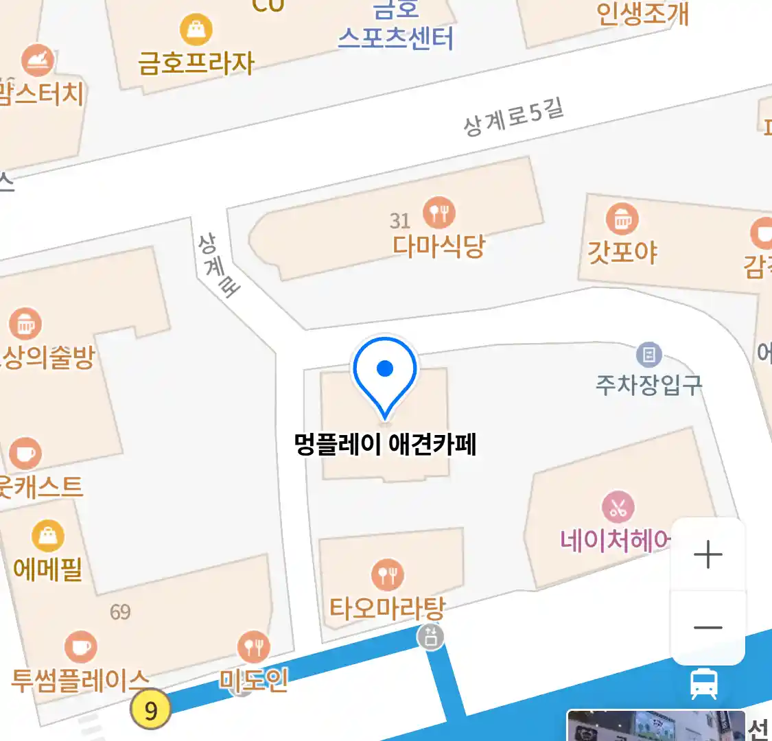 멍플레이 애견카페 위치