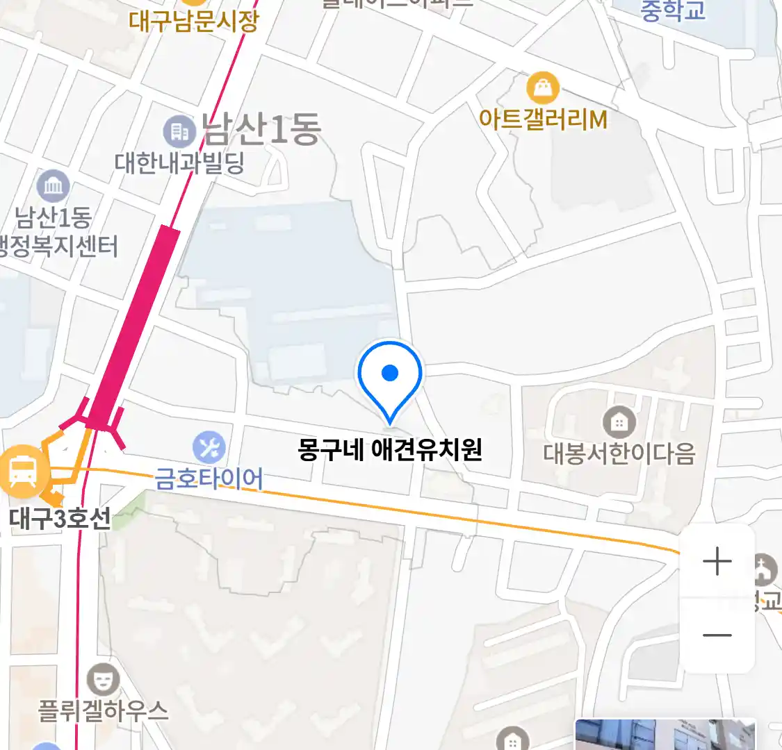 몽구네 애견유치원 위치