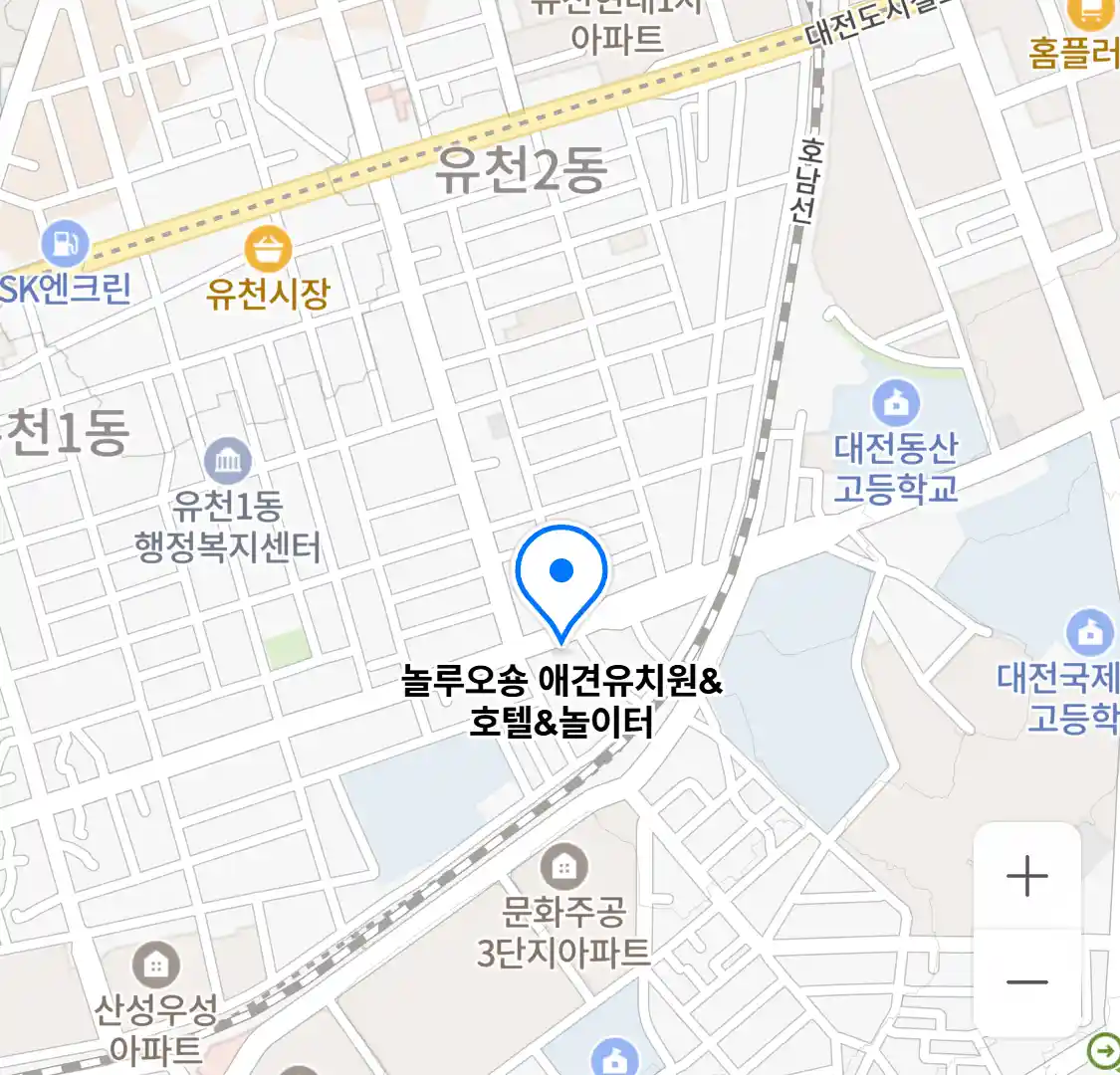 놀루오숑 애견유치원&호텔&놀이터