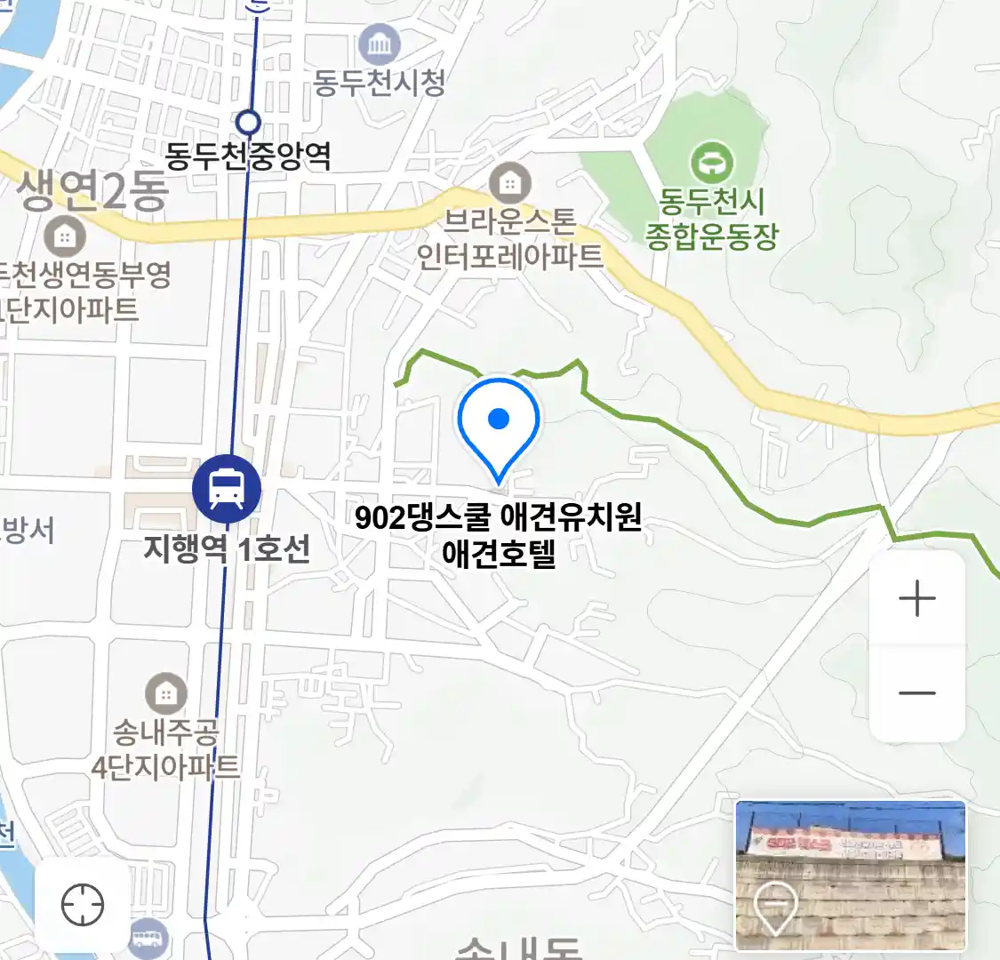 902댕스쿨 애견유치원 애견호텔 위치