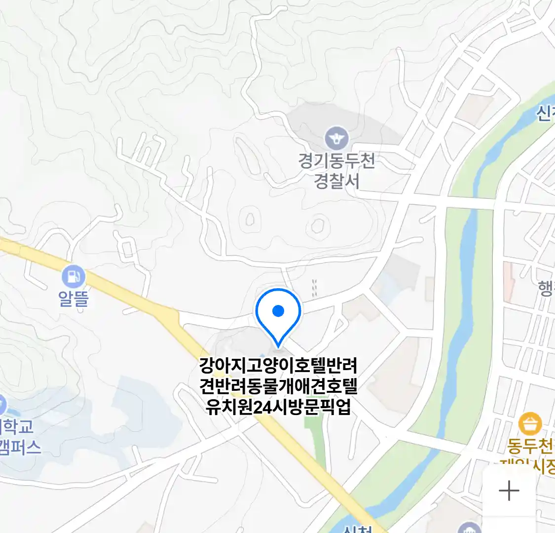 강아지고양이호텔반려견반려동물개애견호텔유치원24시방문픽업 위치