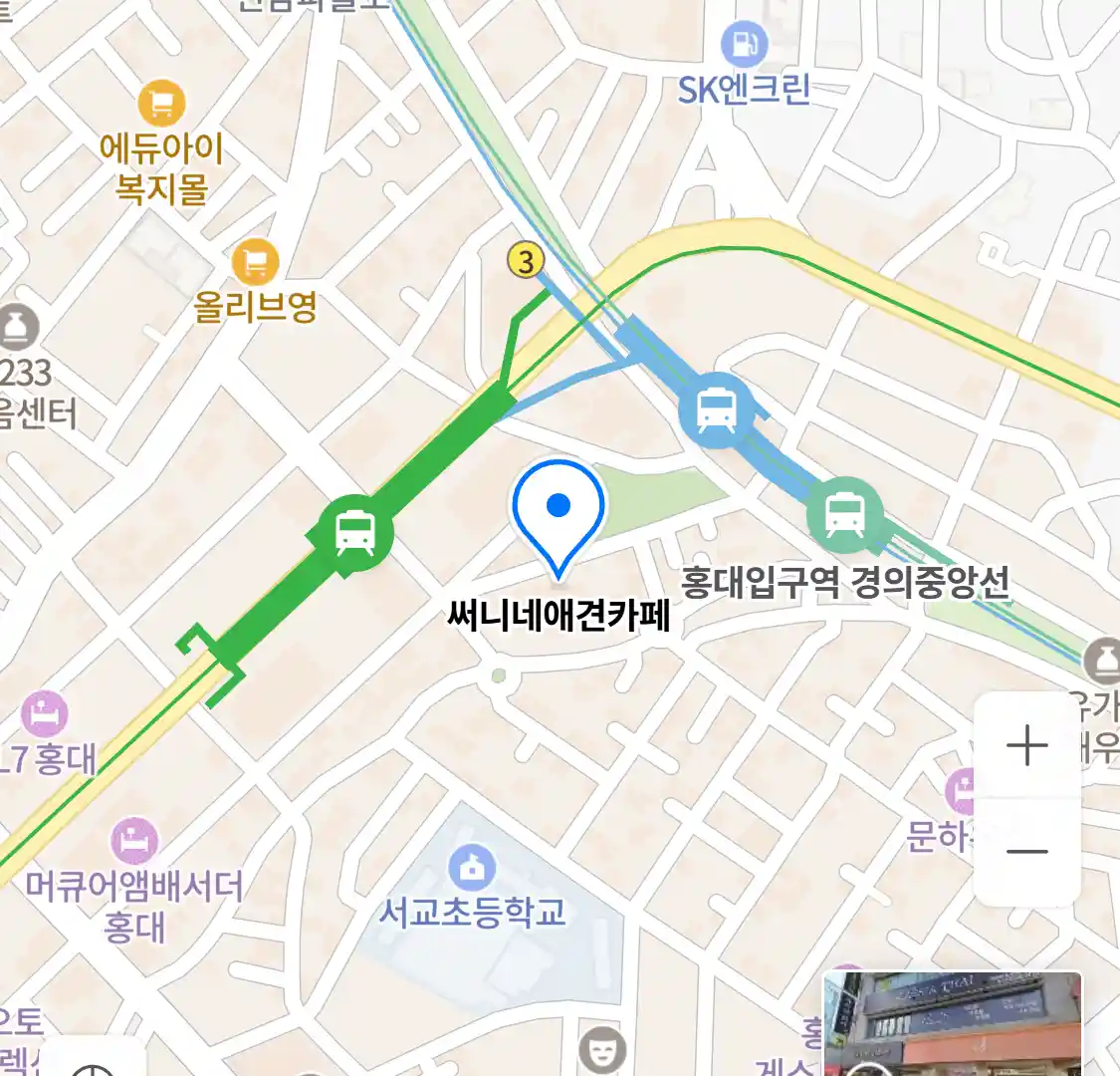 써니네애견카페