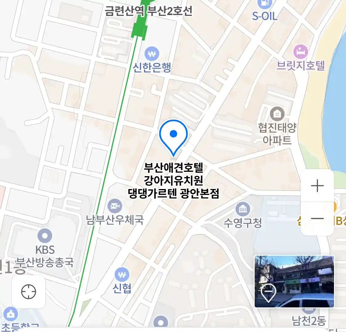 부산애견호텔 강아지유치원 댕댕가르텐 광안본점 위치