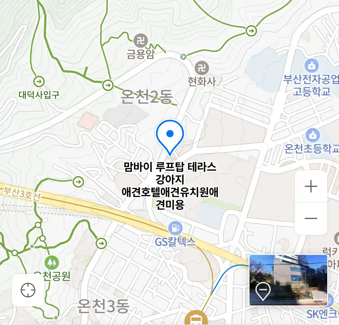 맘바이 루프탑 테라스 강아지 애견호텔애견유치원애견미용 지도