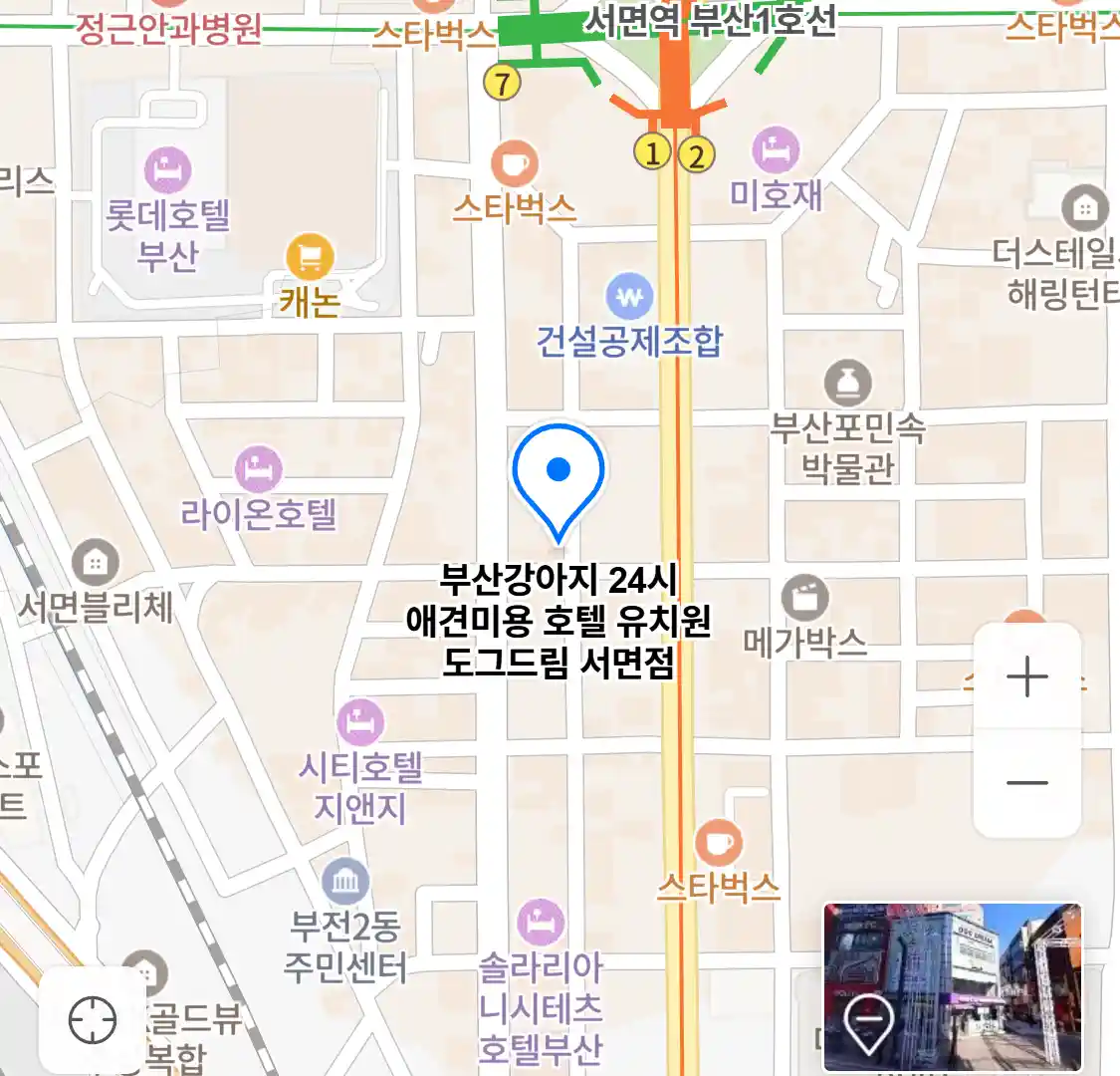 부산강아지 24시 애견미용 호텔 유치원 도그드림 서면점 위치