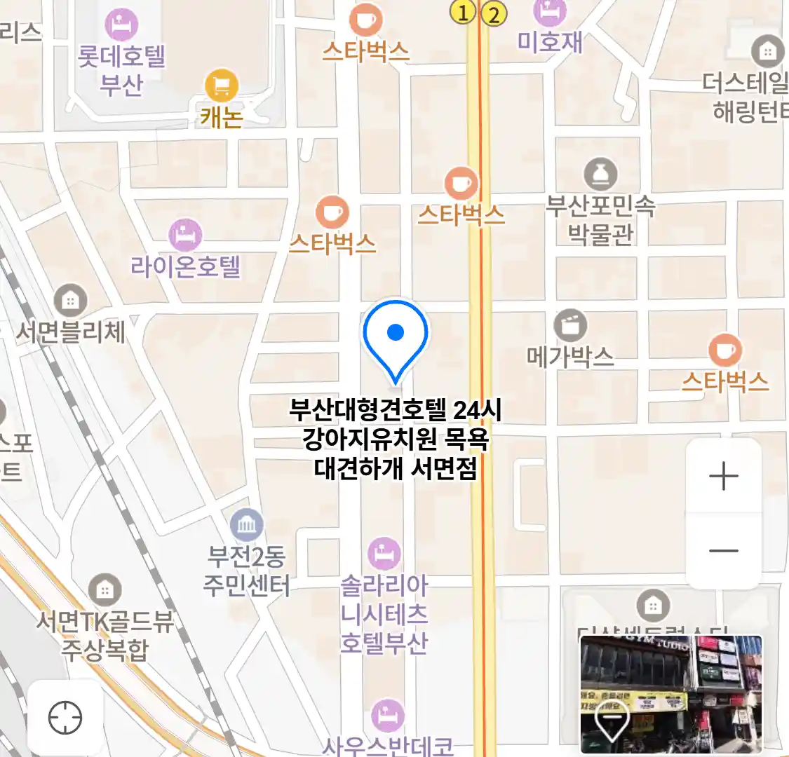 부산대형견호텔 24시 강아지유치원 목욕 대견하개 서면점 위치