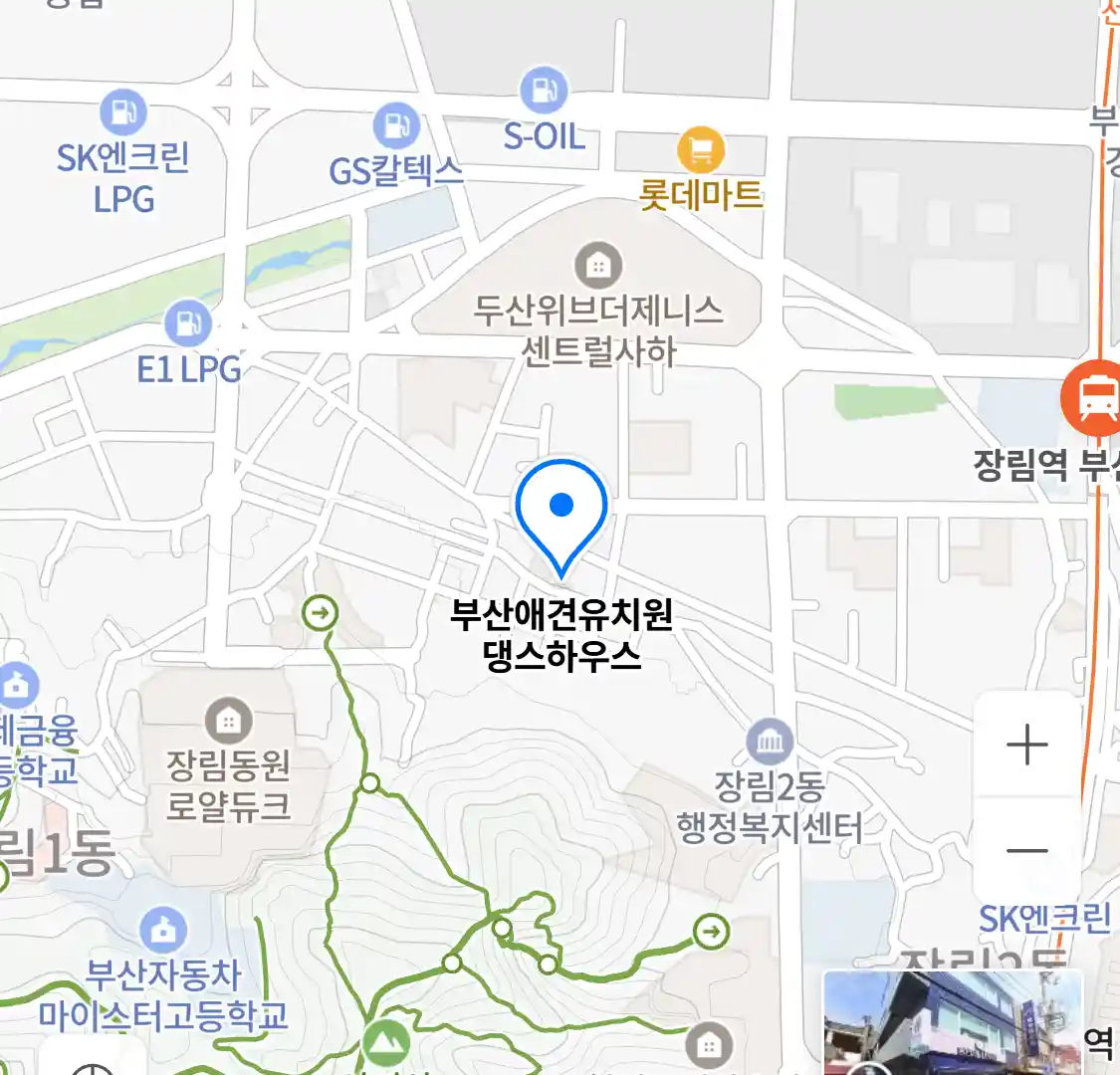 부산애견유치원 댕스하우스 위치