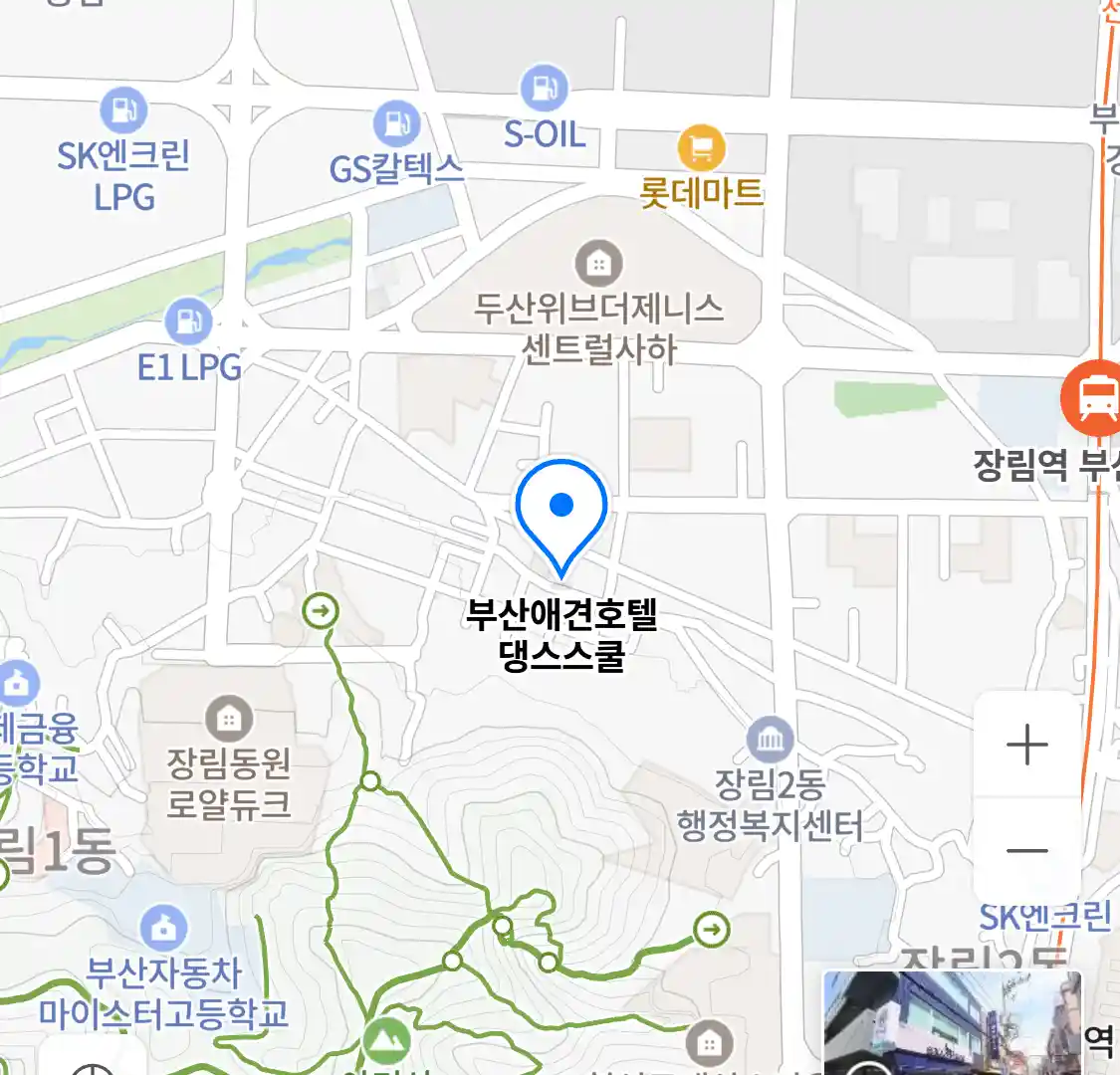 부산애견호텔 댕스스쿨 위치