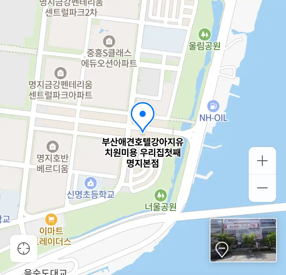 부산애견호텔강아지유치원미용 우리집첫째 명지본점 위치