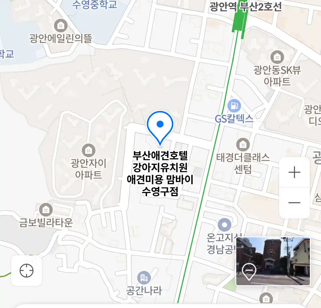 부산애견호텔 강아지유치원 애견미용 맘바이 수영구점 위치