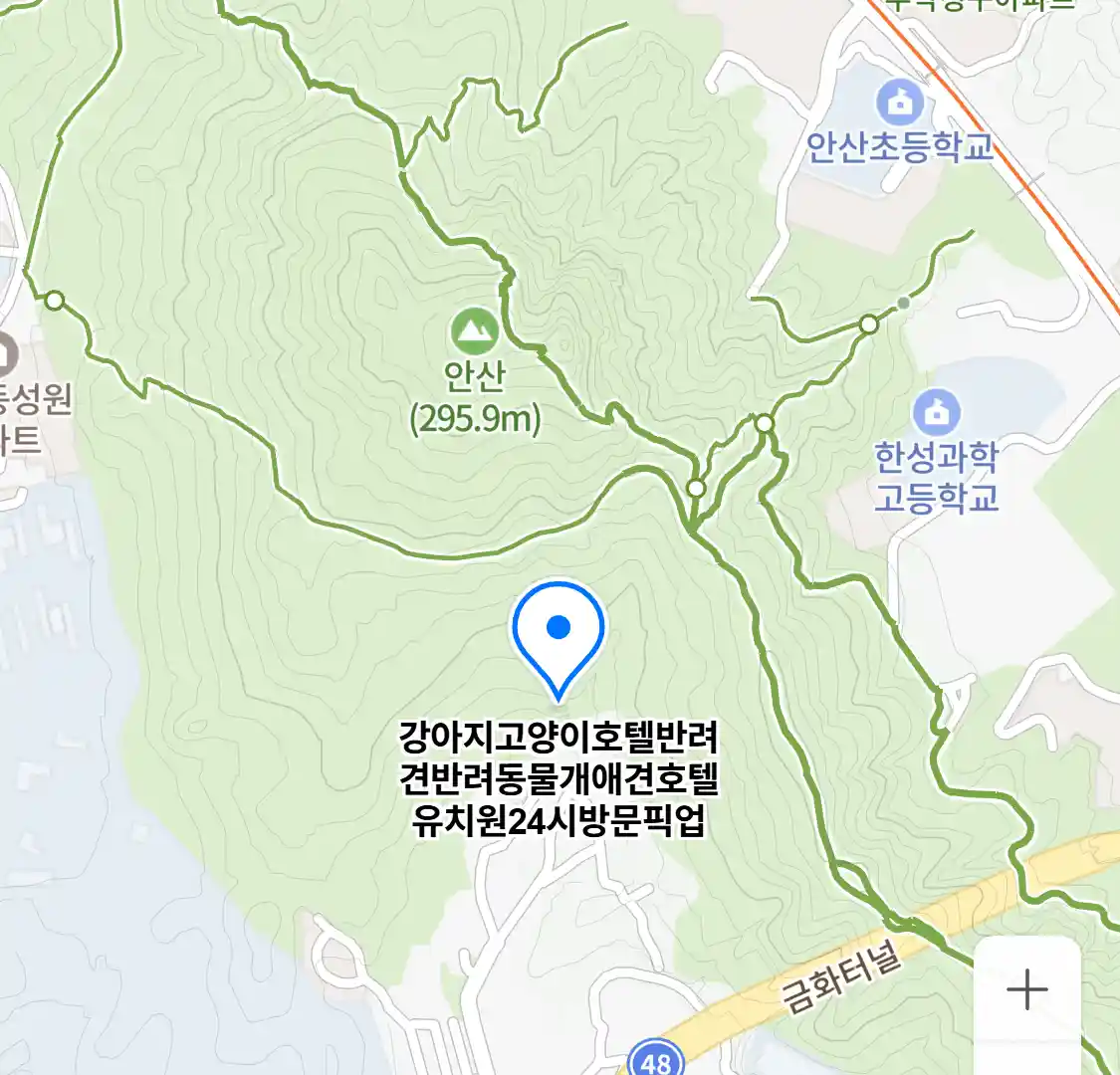 강아지고양이호텔반려견반려동물개애견호텔유치원24시방문픽업 (봉원동) 위치