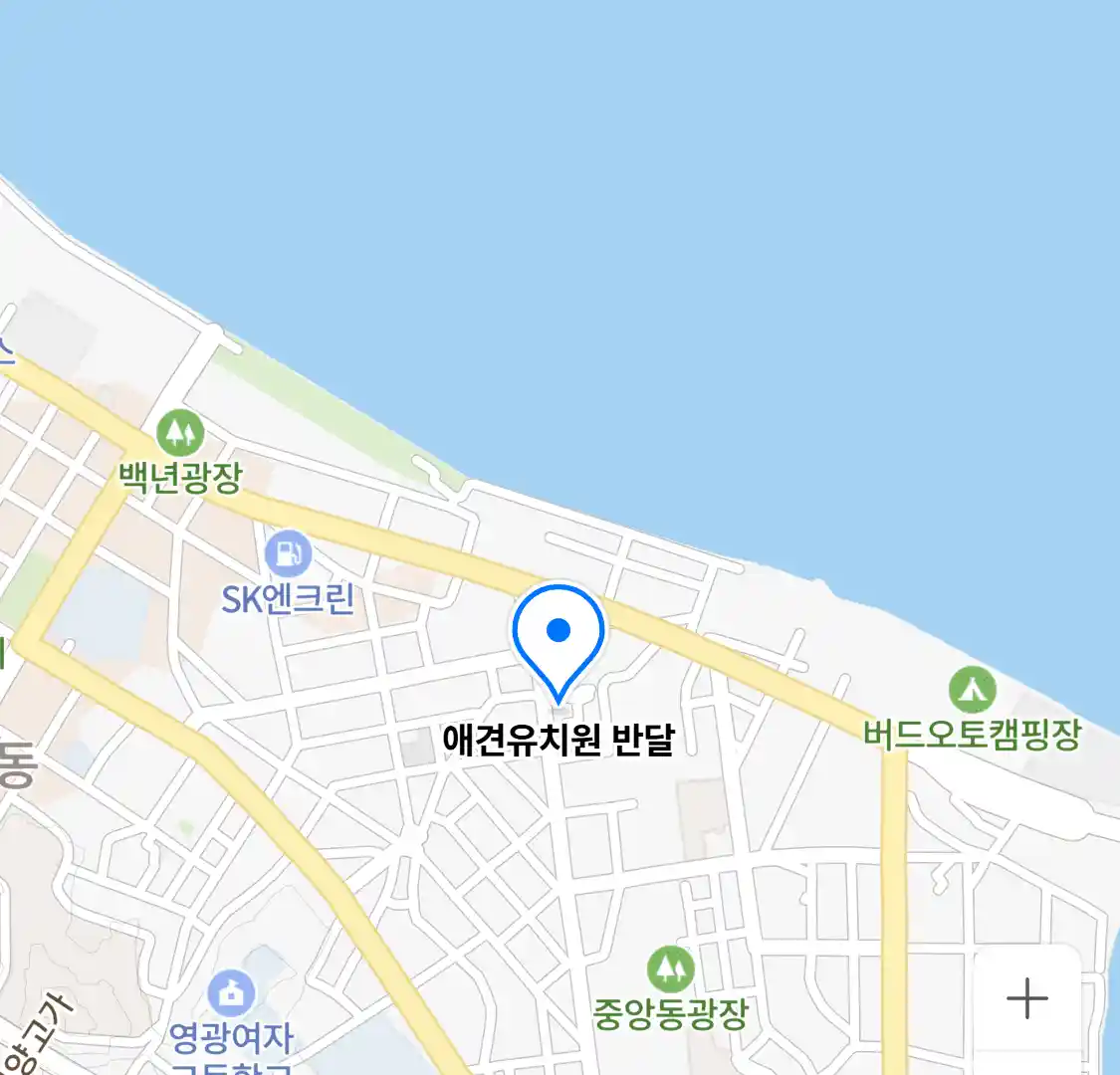 애견유치원 반달 위치