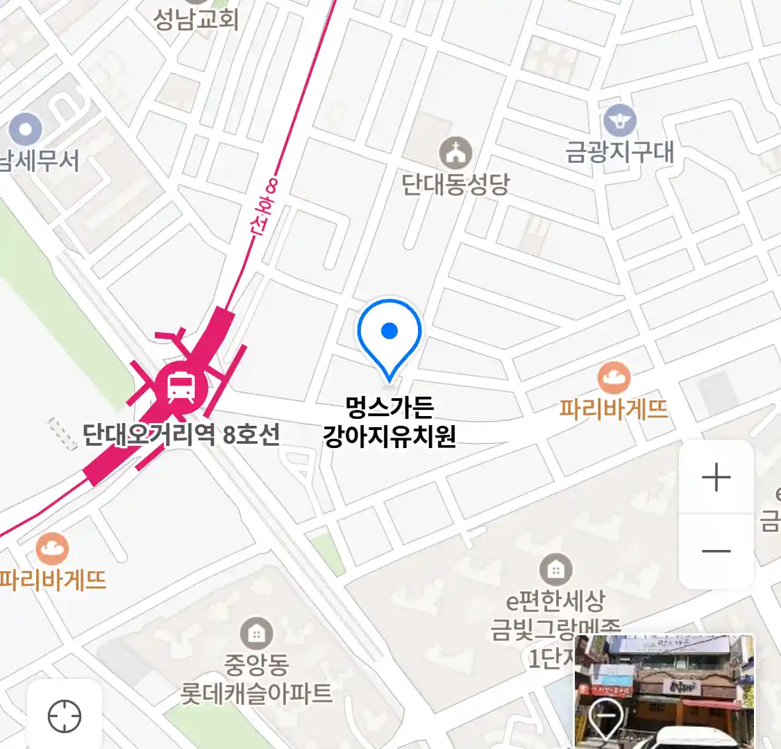 멍스가든 강아지유치원 위치