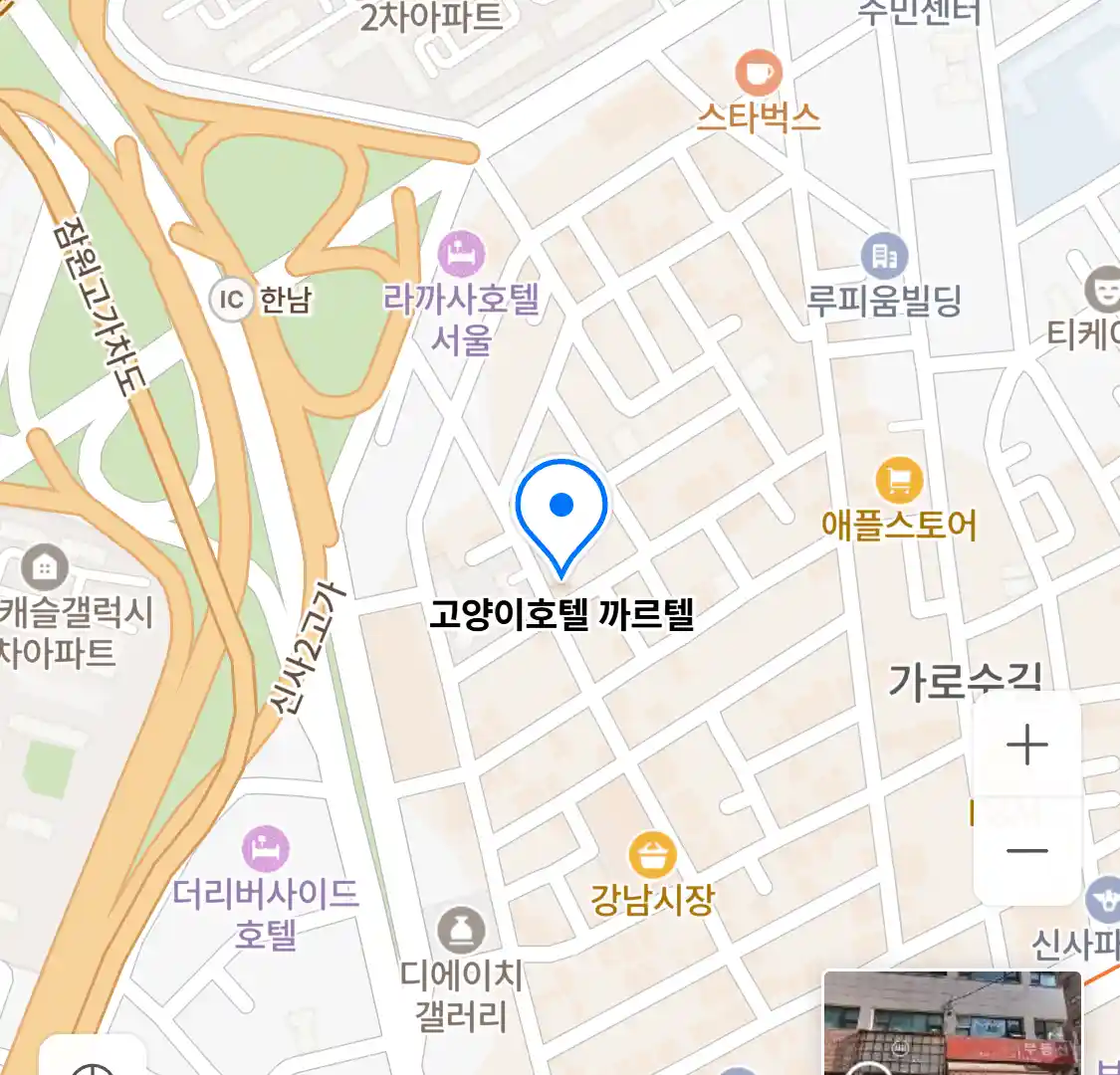 고양이호텔 까르텔 위치