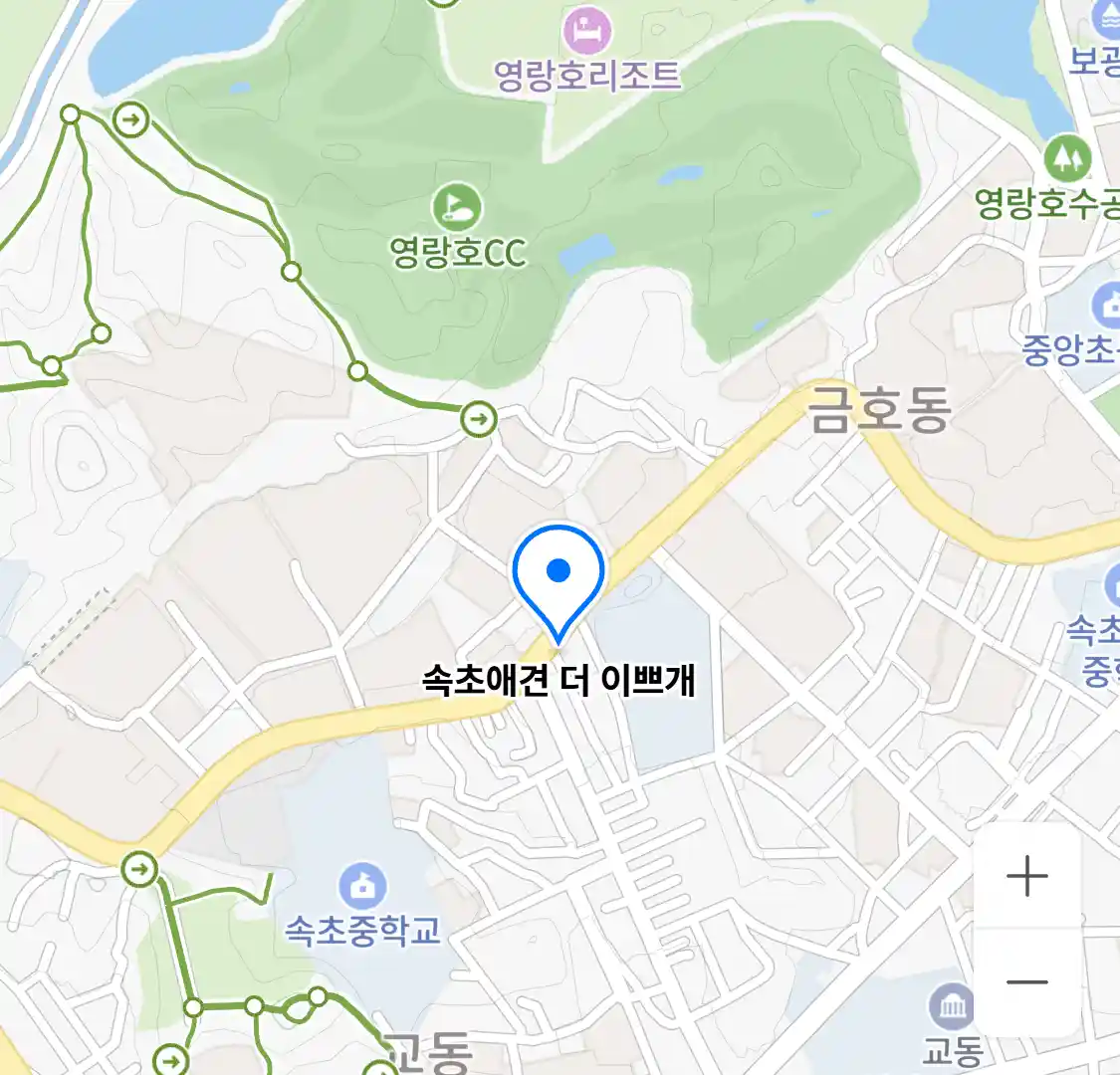 속초애견 더 이쁘개 위치