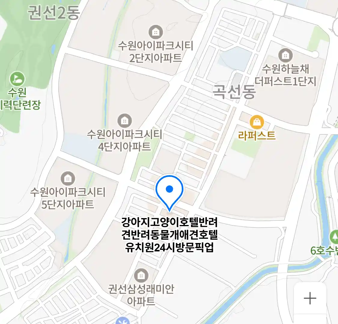 강아지고양이호텔반려견반려동물개애견호텔유치원24시방문픽업 위치