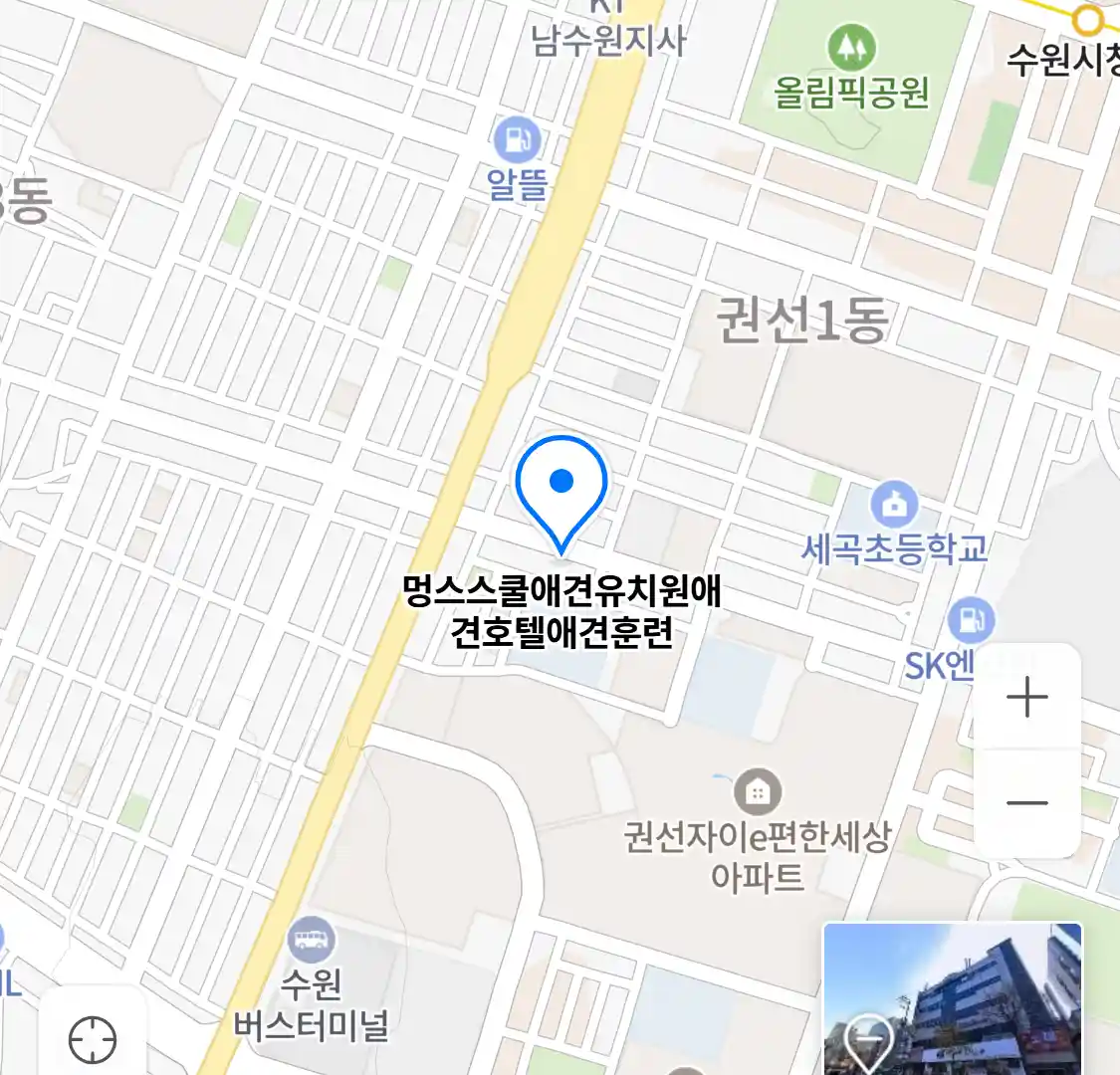 멍스스쿨애견유치원애견호텔애견훈련 위치
