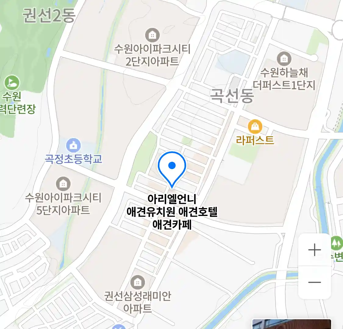 아리엘언니 애견유치원 애견호텔 애견카페 위치