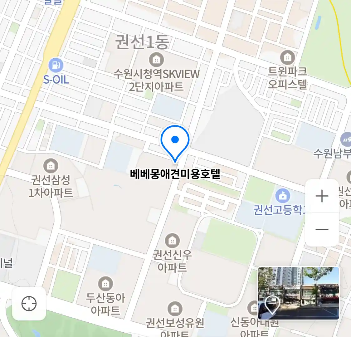 베베몽애견미용호텔 위치