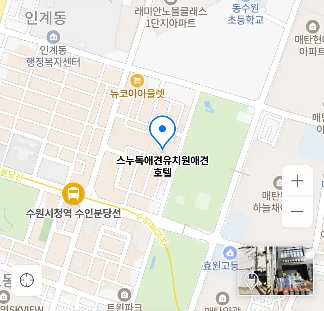 스누독애견유치원애견호텔 위치