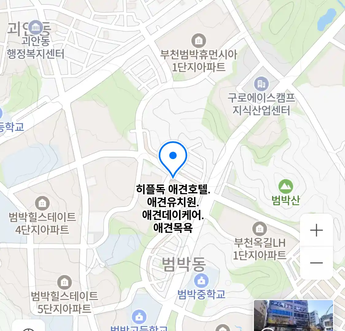 히플독 위치