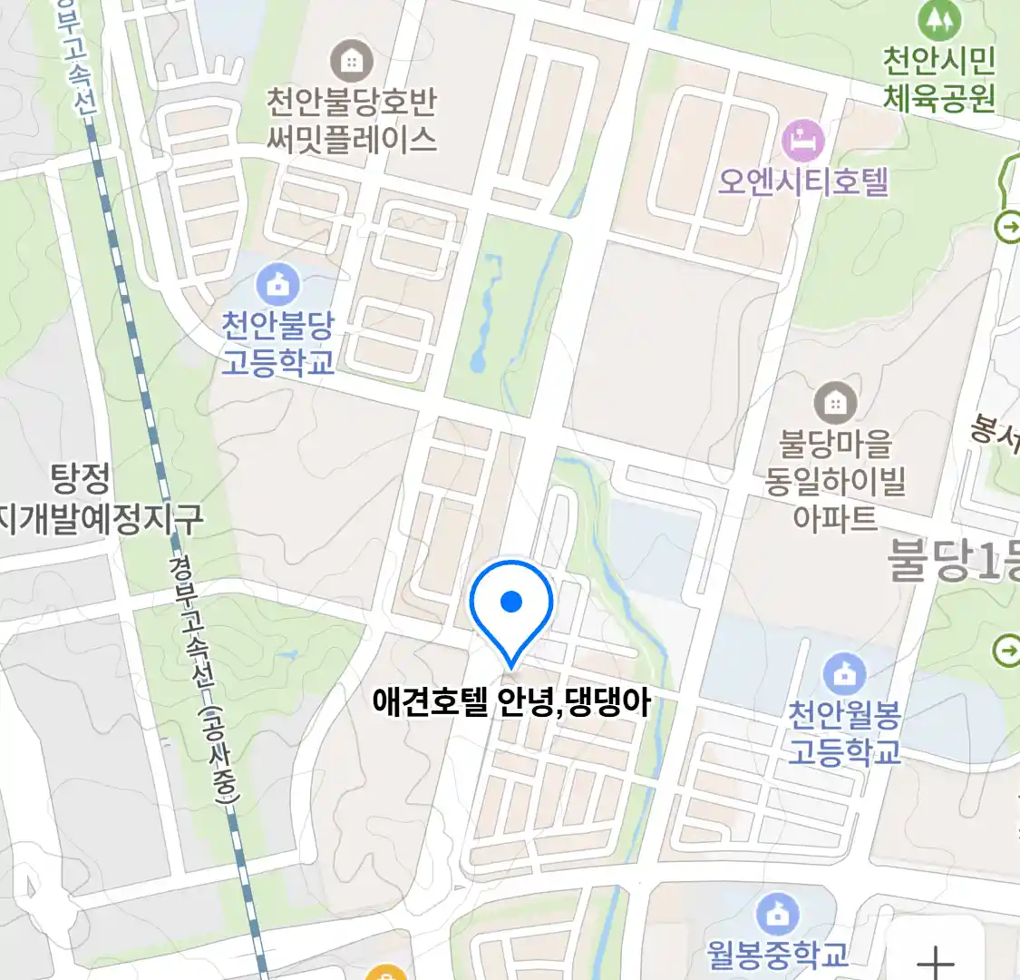애견호텔 안녕,댕댕아 위치